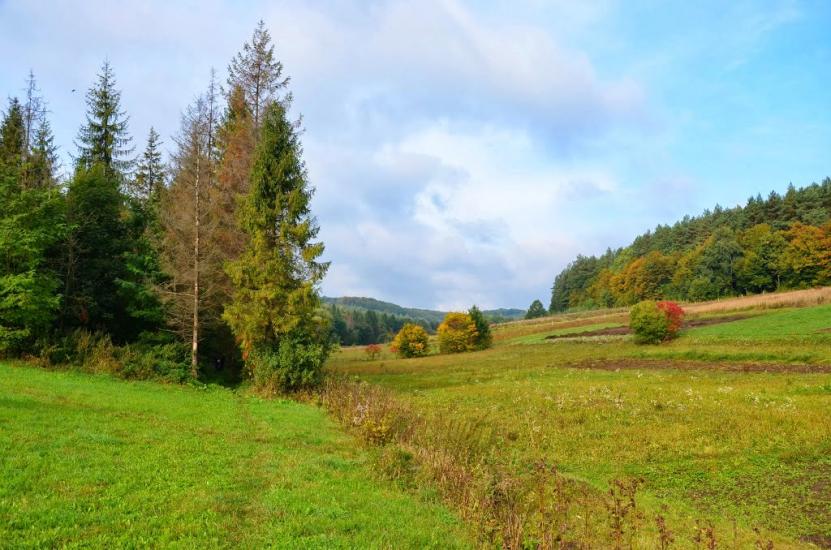 Поморяни з panoramio.com - Поморяны