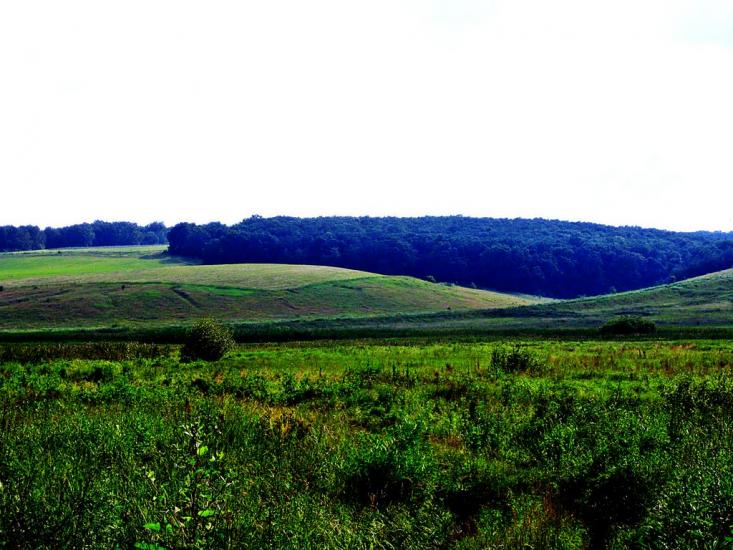 Стрілеча з panoramio.com - Стрілеча
