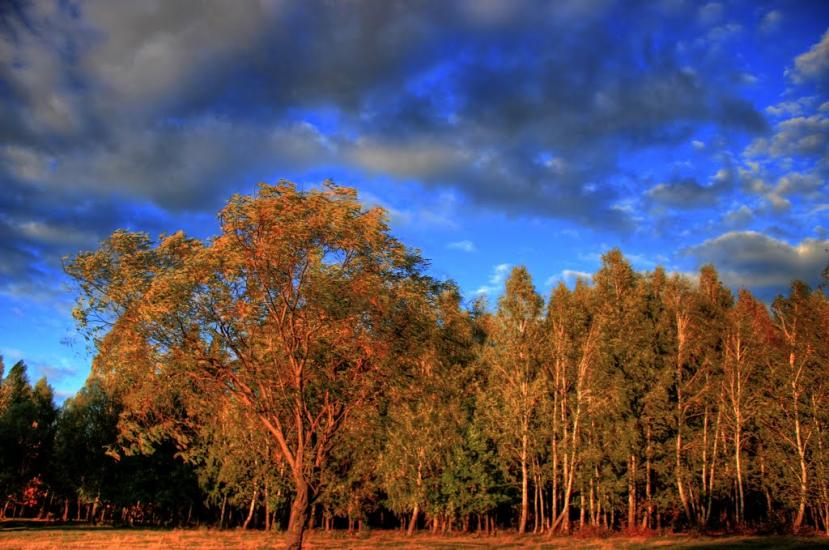 Березне з panoramio.com - Березное