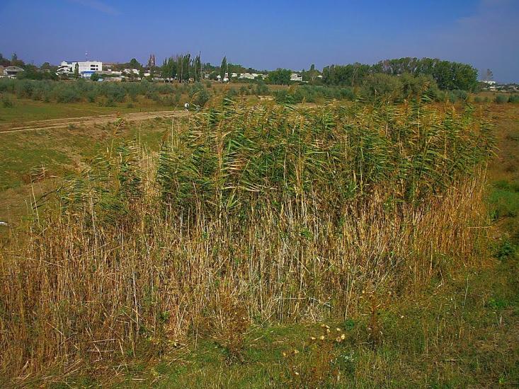 Віліне з panoramio.com - Viline