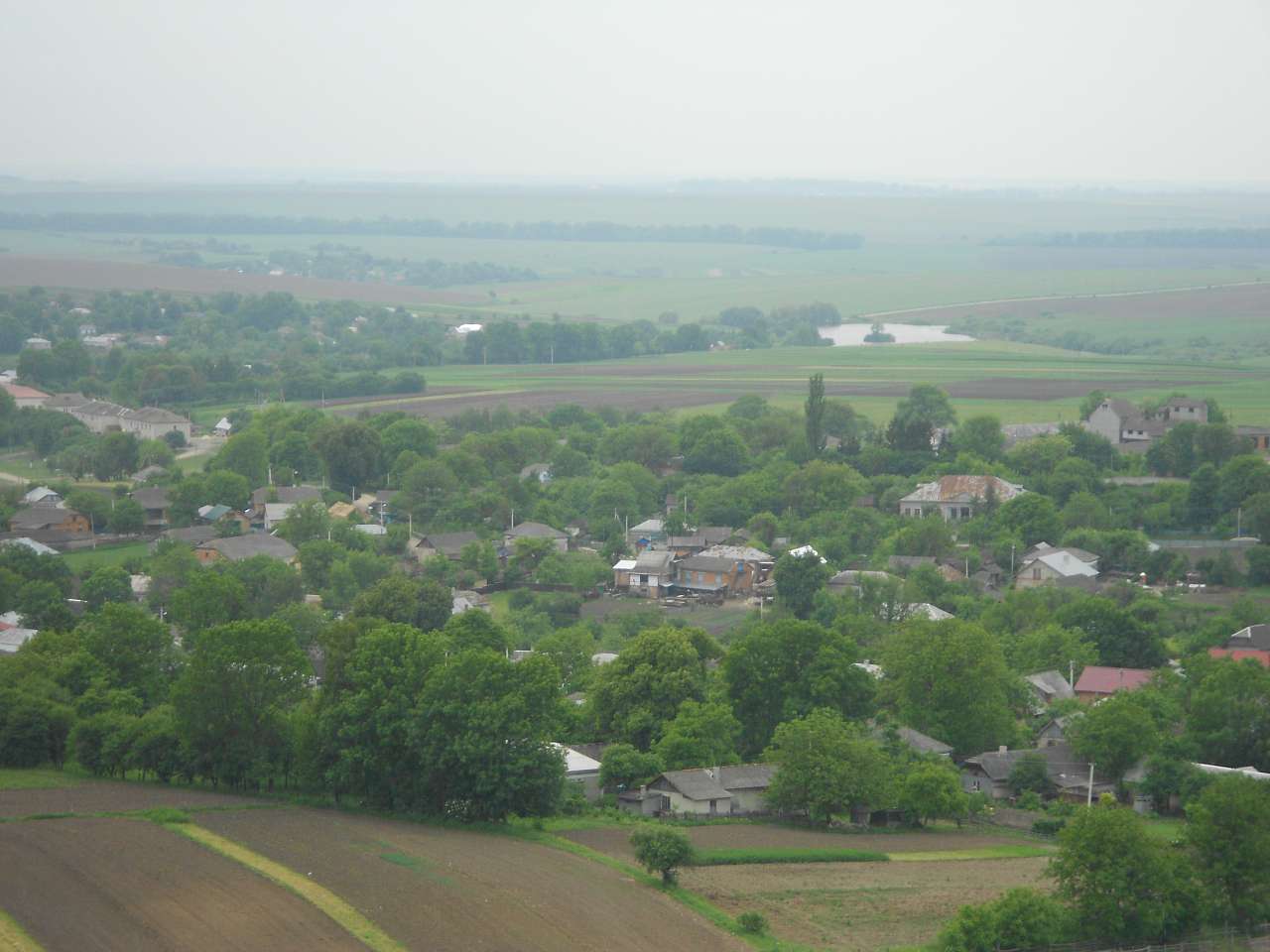 Паївка з panoramio.com - Паївка