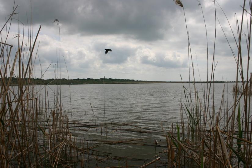 Маяки з panoramio.com - Маяки