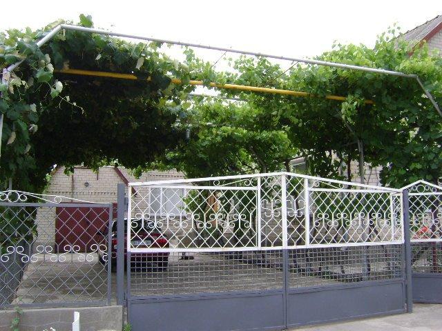 Ширяєве з panoramio.com - Shyryayeve