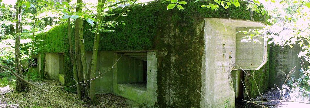 Велика Любаша з panoramio.com - Велика Любаша