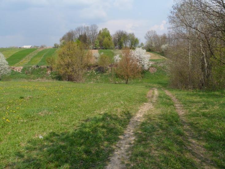 Мартинівка з panoramio.com - Мартинівка