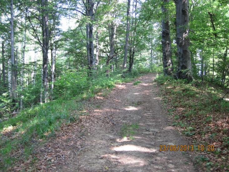 Хорови з panoramio.com - Khorovy