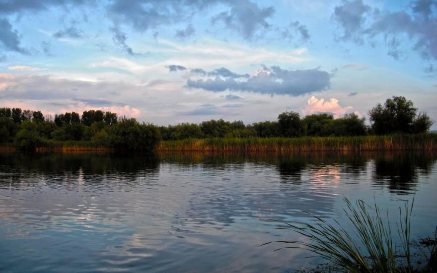 Новосільське з panoramio.com - Novosilske