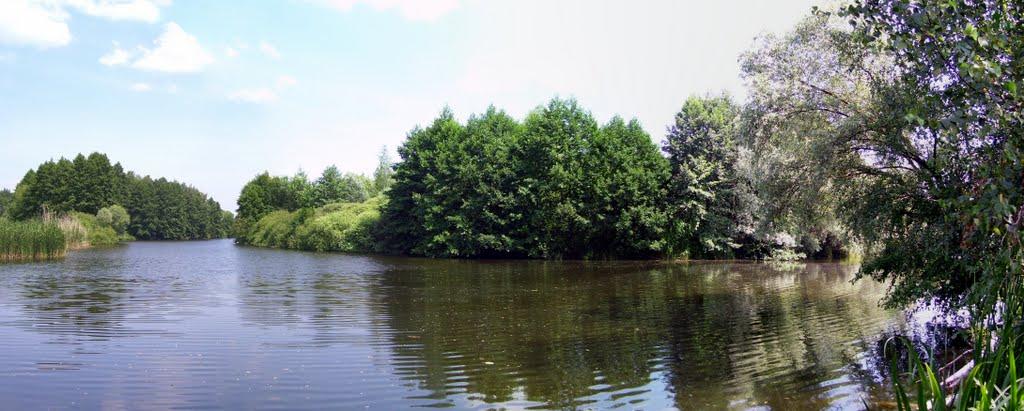 Вільхуватка з panoramio.com - Вільхуватка