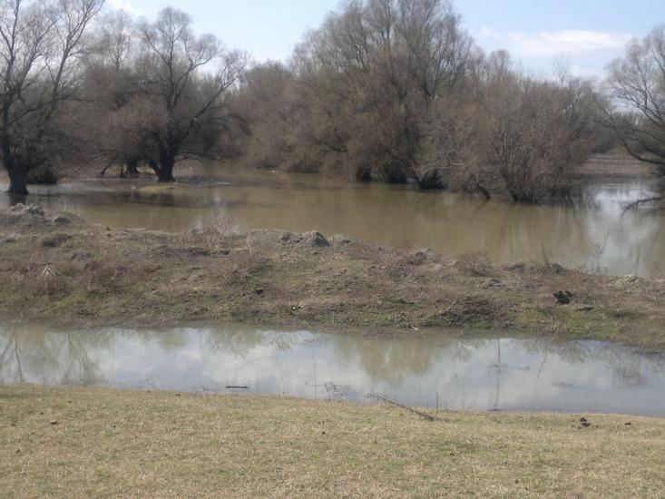 Стара Некрасівка з panoramio.com - Стара Некрасівка