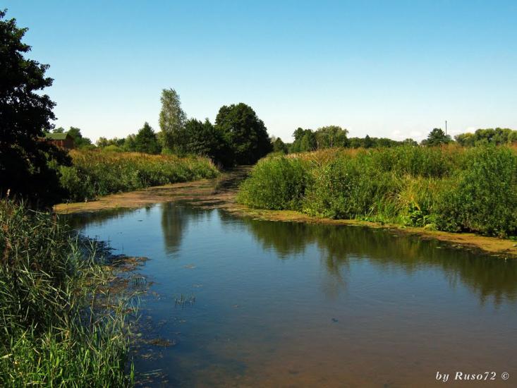 Рожів з panoramio.com - Рожев