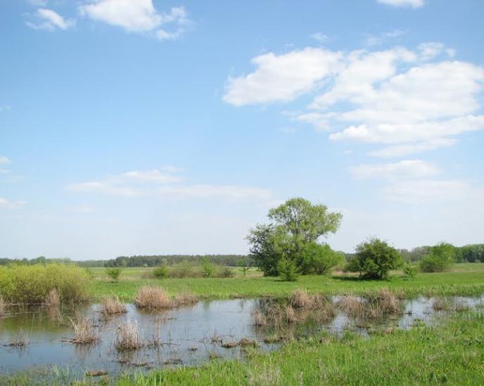 Балаклія з panoramio.com - Балаклея