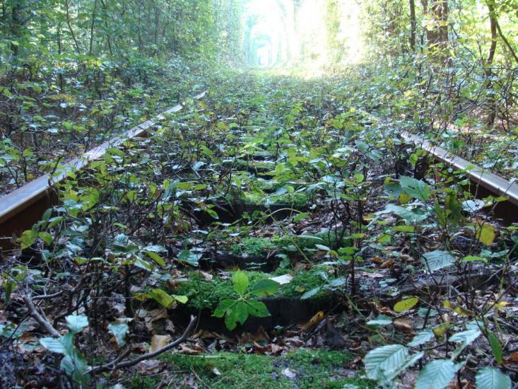 Клевань з panoramio.com - Klevan