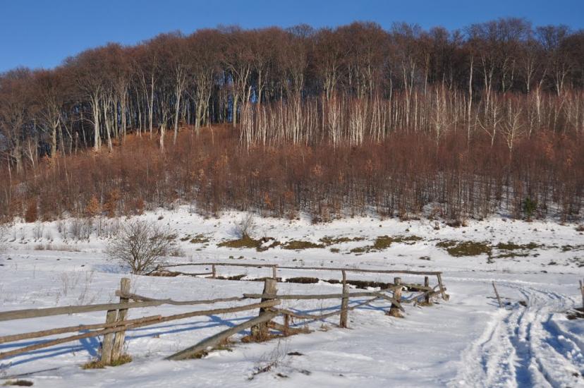 Любешка з panoramio.com - Любешка