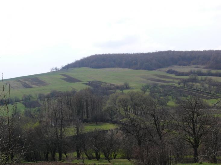 Старий Лисець з panoramio.com - Staryy Lysets