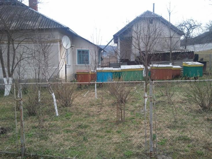 Слов'ятин з panoramio.com - Слов'ятин