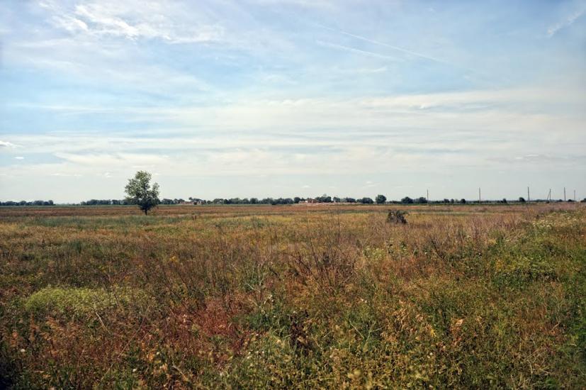 Мала Білозерка з panoramio.com - Малая Белозерка