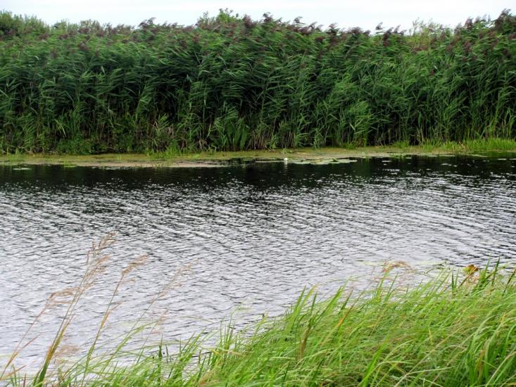 Кузнецовськ з panoramio.com - Вараш