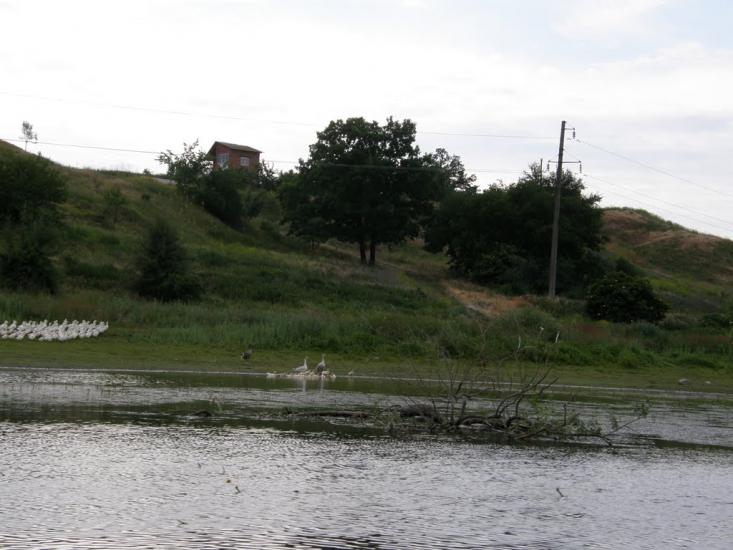 Тарасівка з panoramio.com - Тарасівка