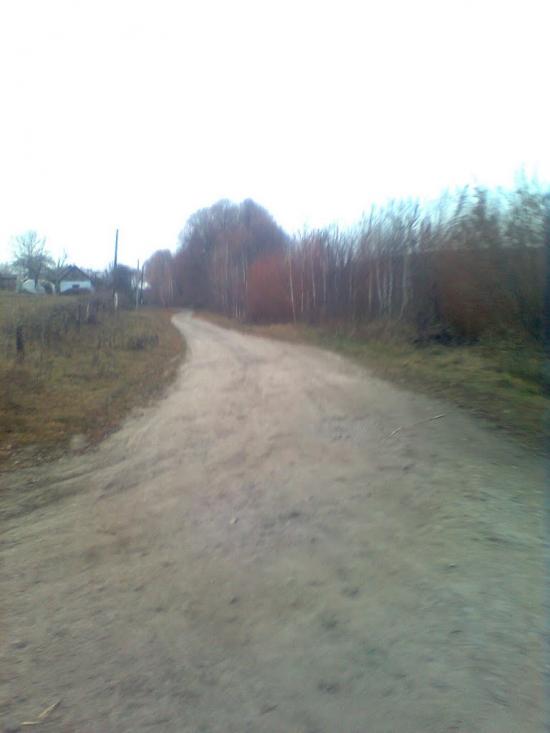 Колибань з panoramio.com - Колыбань
