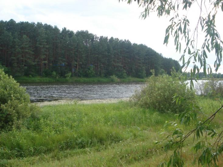 Погорілівка з panoramio.com - Погорілівка