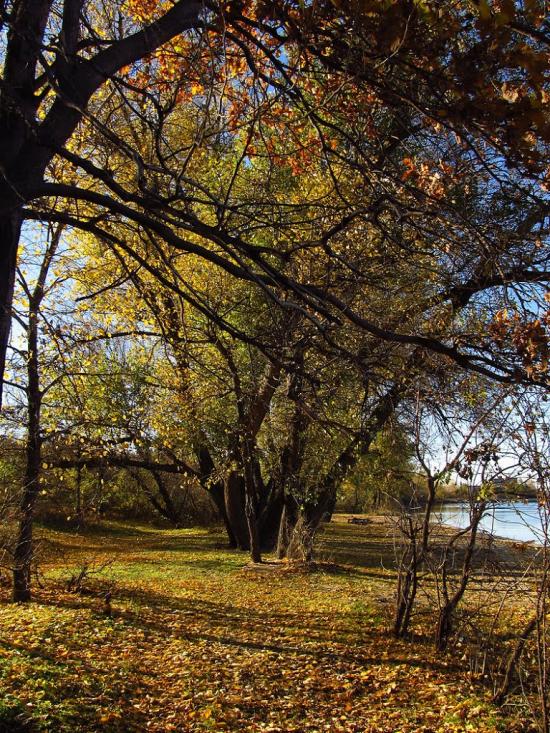 Зелений Гай з panoramio.com - Зеленый Гай