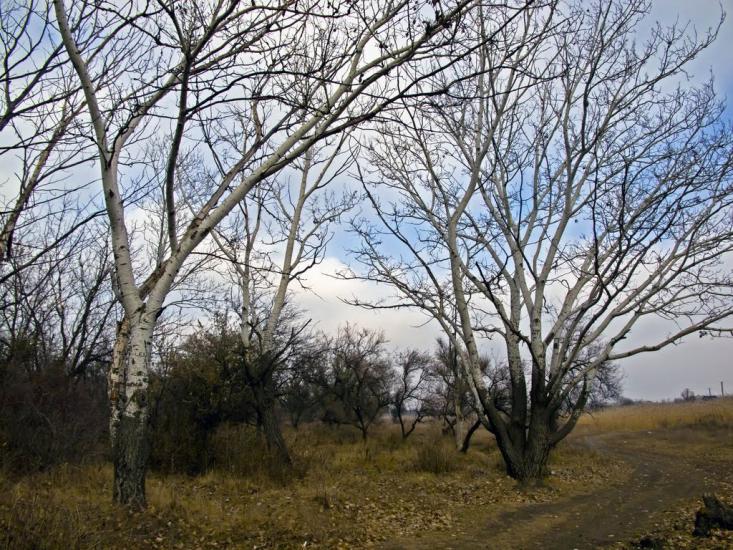 Червоні Поди з panoramio.com - Червоные Поды