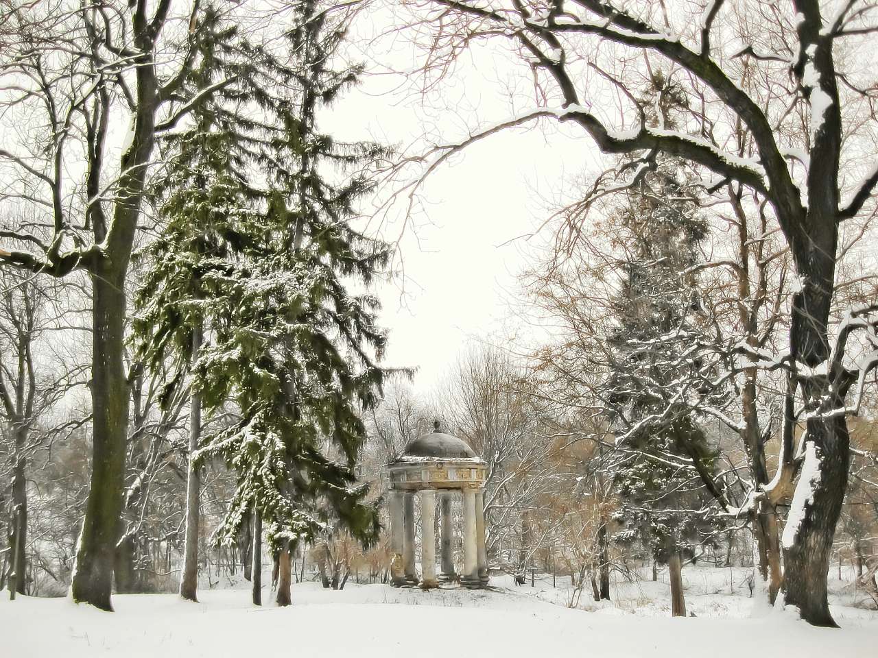 Соколівка - Соколівка