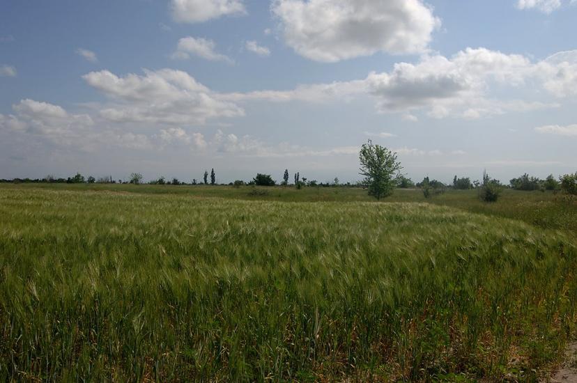 Охрімівка з panoramio.com - Охримовка