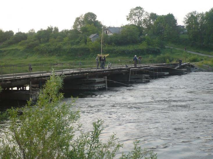 Шершні з panoramio.com - Шершні