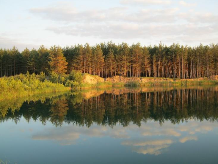 Павлівка з panoramio.com - Павловка