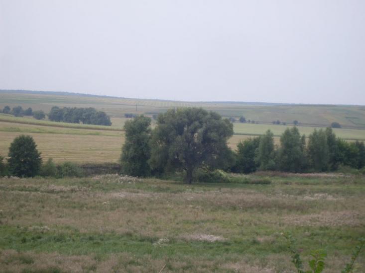 Гунча з panoramio.com - Гунча