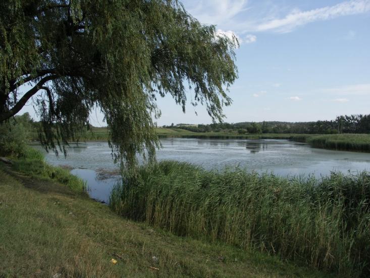 Дмитрівка з panoramio.com - Дмитровка