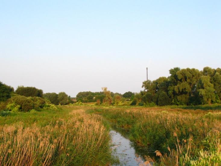 Рожів з panoramio.com - Рожев