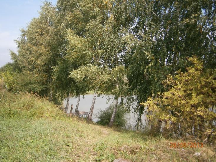 Берездівці з panoramio.com - Берездівці