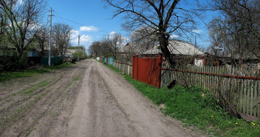 Олександрівка з panoramio.com - Олександрівка