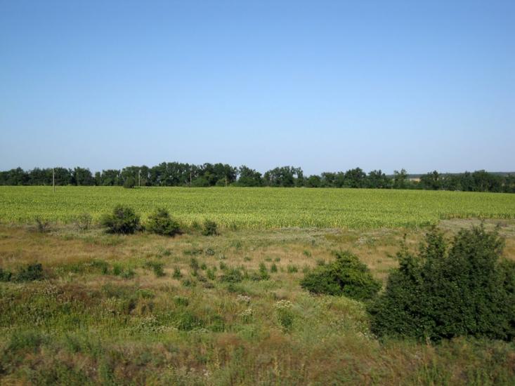 Дебальцеве з panoramio.com - The Debaltsevo