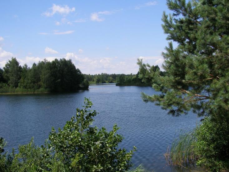 Стригани з panoramio.com - Стриганы