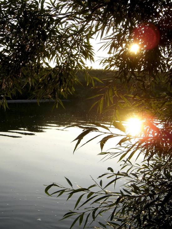 Циків з panoramio.com - Tsykiv