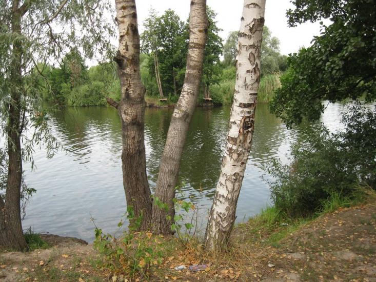 Вільхуватка з panoramio.com - Вільхуватка