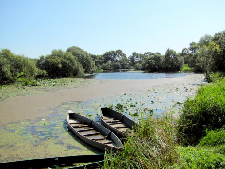 Мульчиці з panoramio.com - Мульчиці