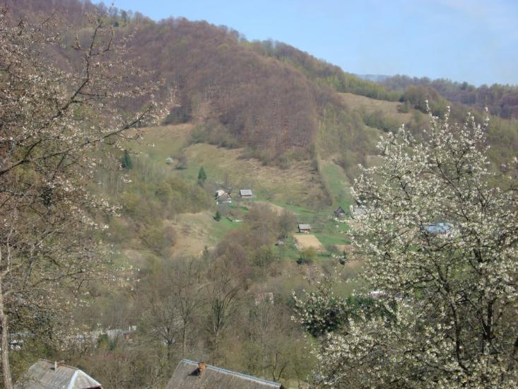 Широкий Луг з panoramio.com - Широкий Луг