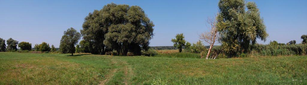 Таганка з panoramio.com - Таганка