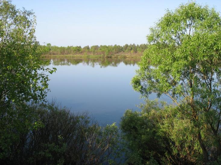 Неданчичі з panoramio.com - Неданчичі