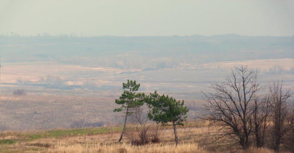 Покровка з panoramio.com - Покровка