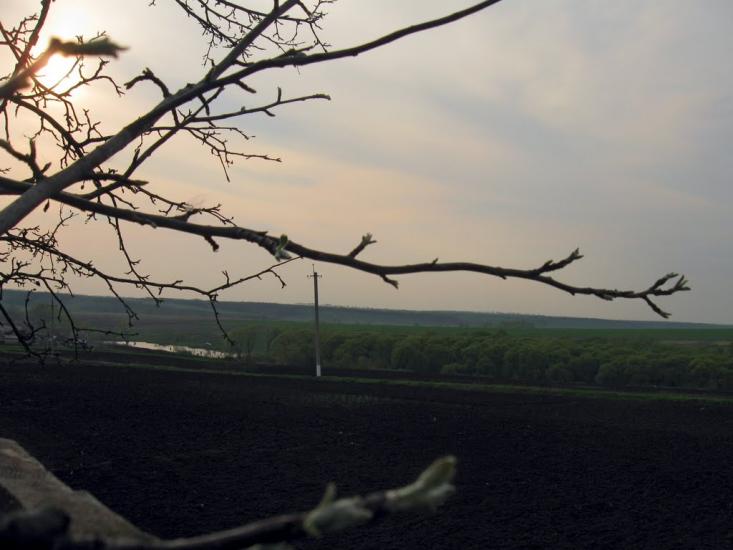 Стрілеча з panoramio.com - Стрілеча