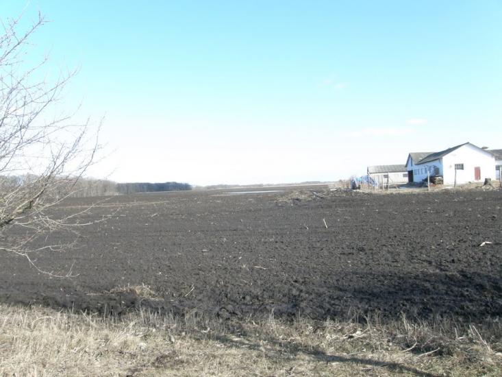 Оржиця з panoramio.com - Оржиця