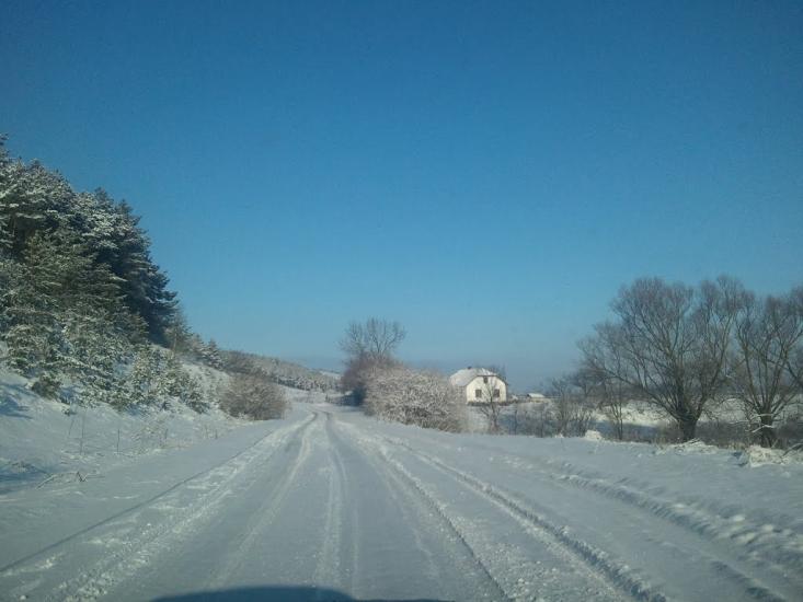 Саранчуки з panoramio.com - Saranchuky