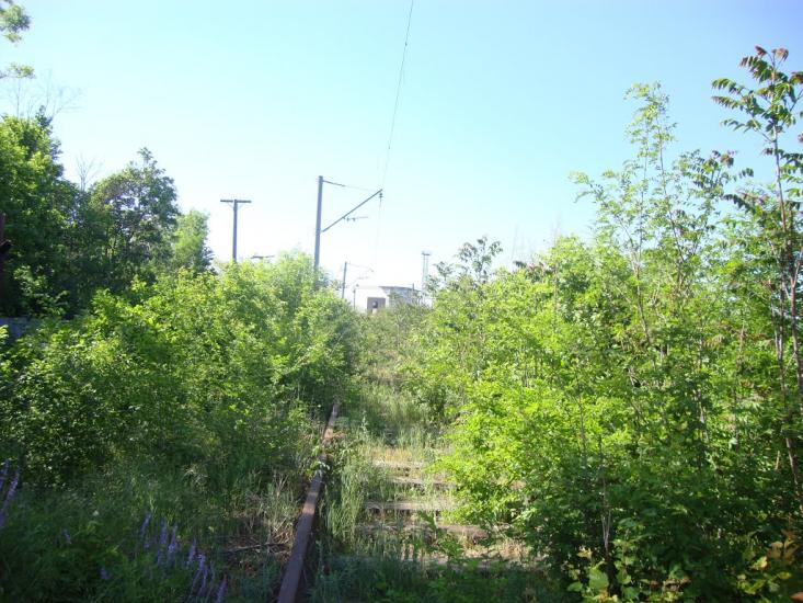 Старі Шомполи з panoramio.com - Старі Шомполи