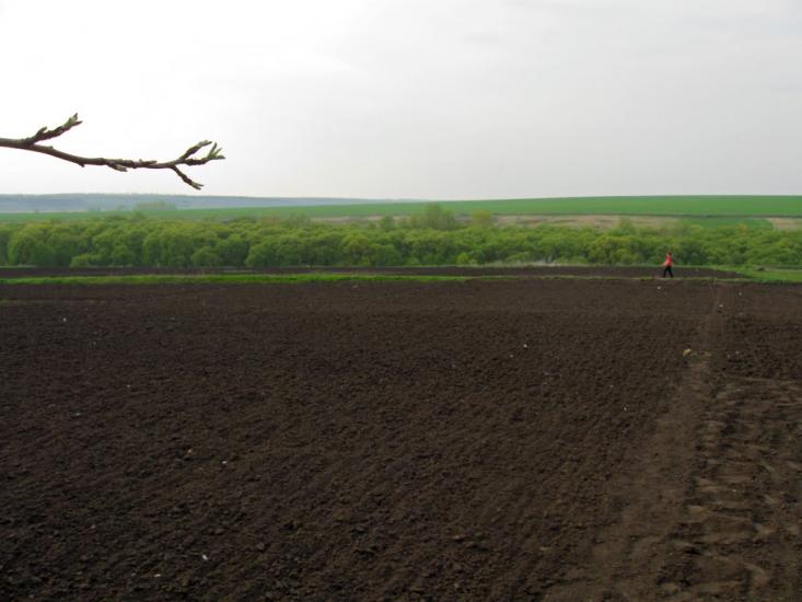 Стрілеча з panoramio.com - Стрілеча