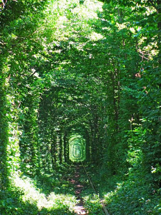 Клевань з panoramio.com - Klevan